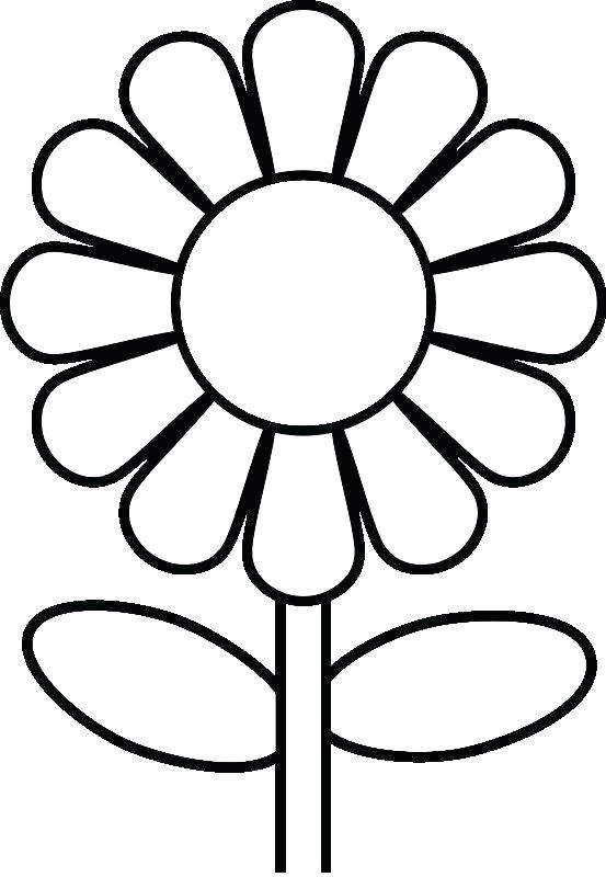 553x800 Drawing Pages Of Flowers Full Size Of Coloring Pages Flowers