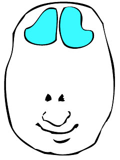 240x318 Art Lab Fun Art Activities To Do