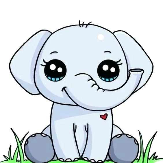 564x564 How To Draw Coloring Pages Cute Animal Drawing Drawings Of Animals