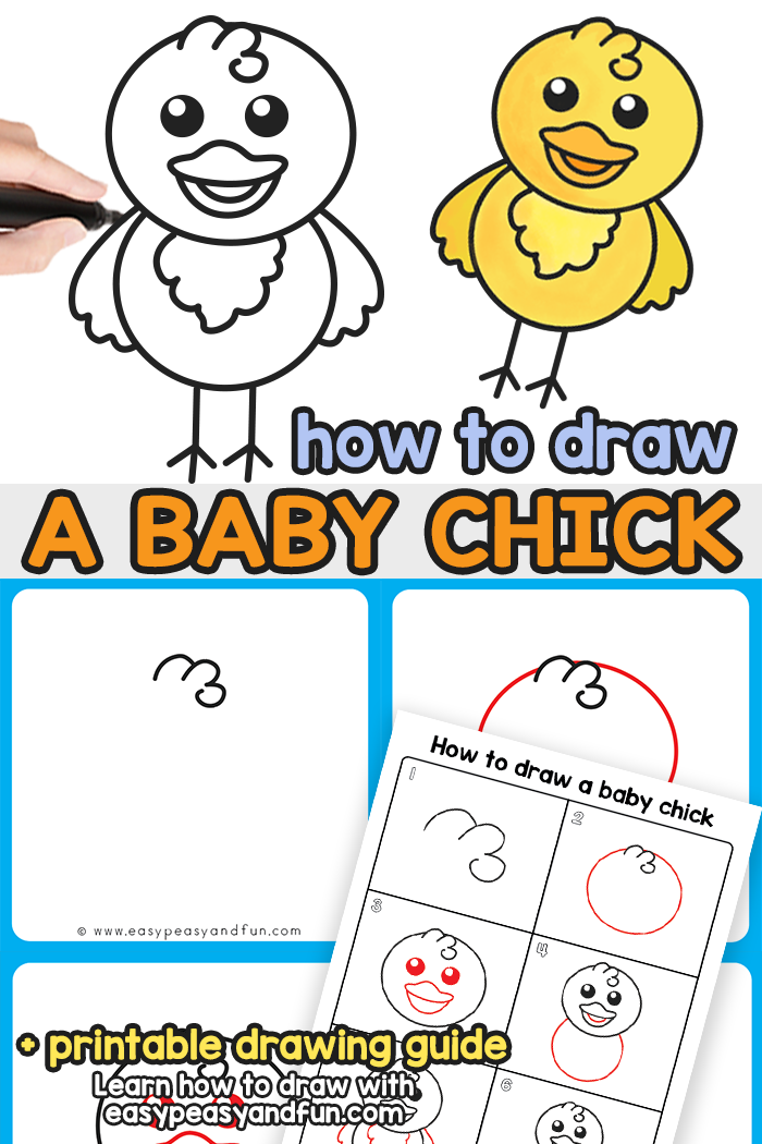 700x1050 How To Draw A Baby Chick Step