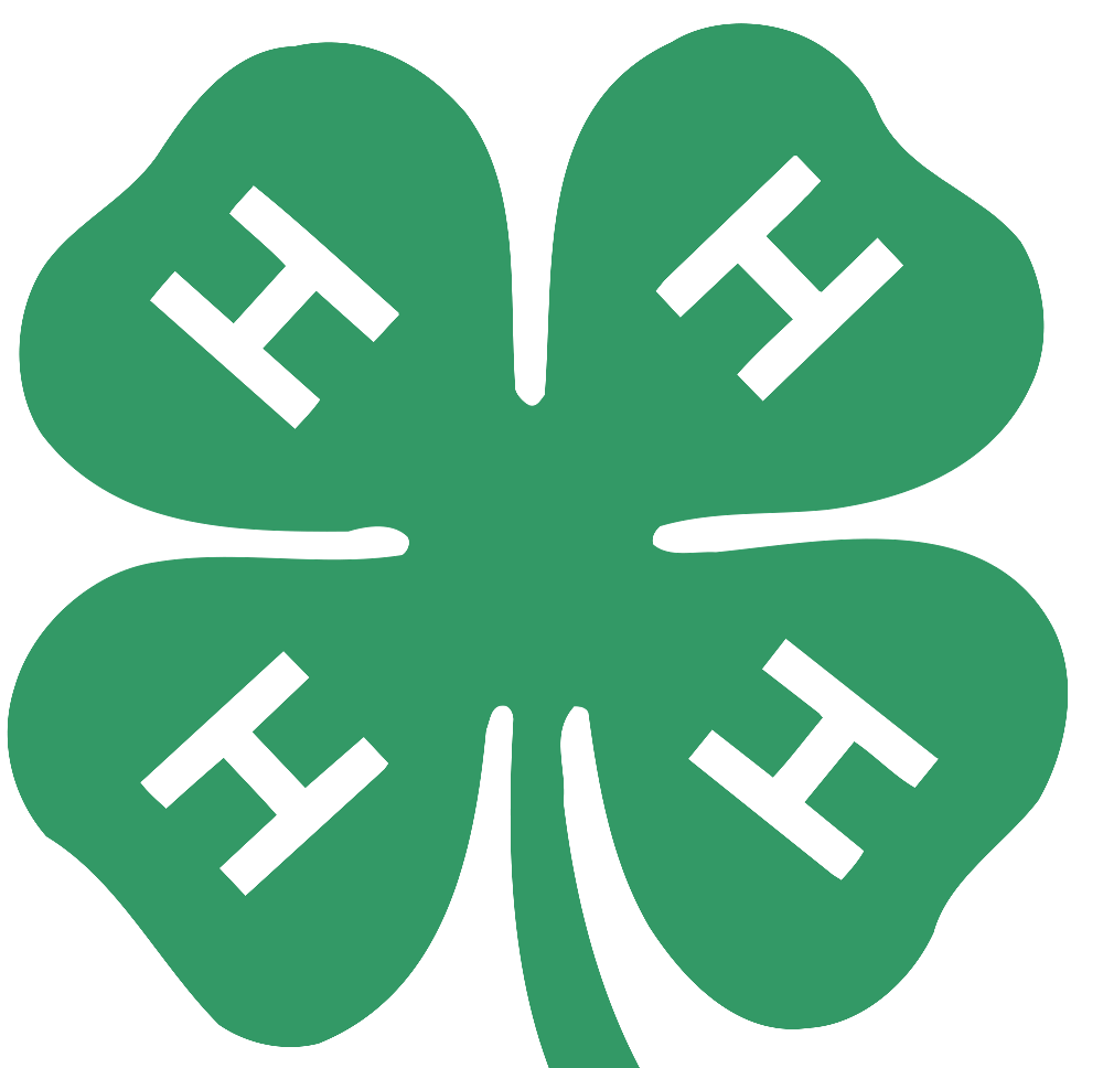 1000x968 the fair the prince william county fair surprises