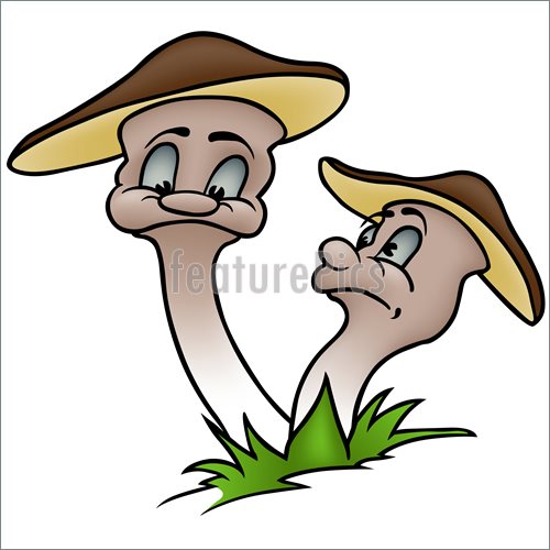 500x500 Fungi Mushrooms