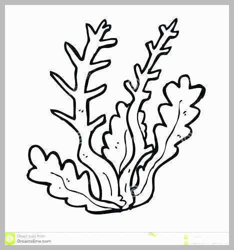 468x500 saltwater fish coloring pages marvelous coral reef fish drawings
