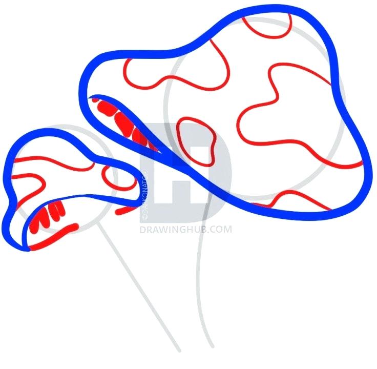 736x720 shrooms drawing mushroom drawing art