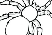183x125 free printable spider web coloring pages funnel