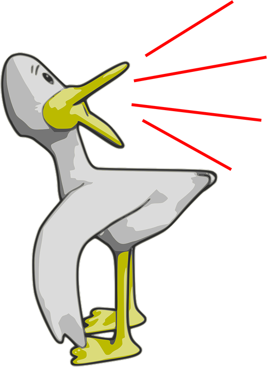 526x720 Hd Duck Talking Cartoon Funny Drawing Character Bird