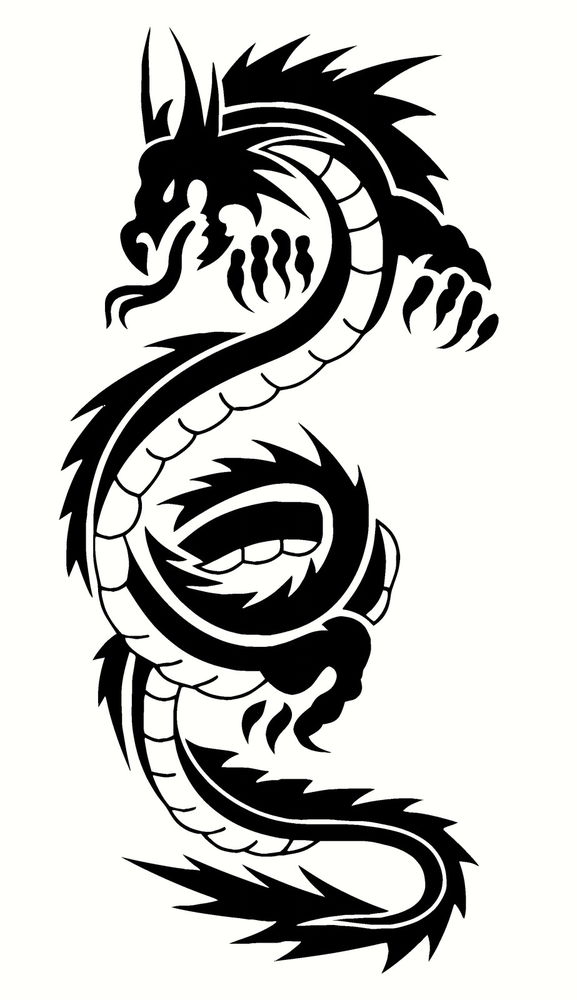 577x1000 Dragon E Funny Car Van, Bumper, Windows, Wall Art Decal Stickers