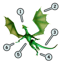 250x250 How To Draw Dragons