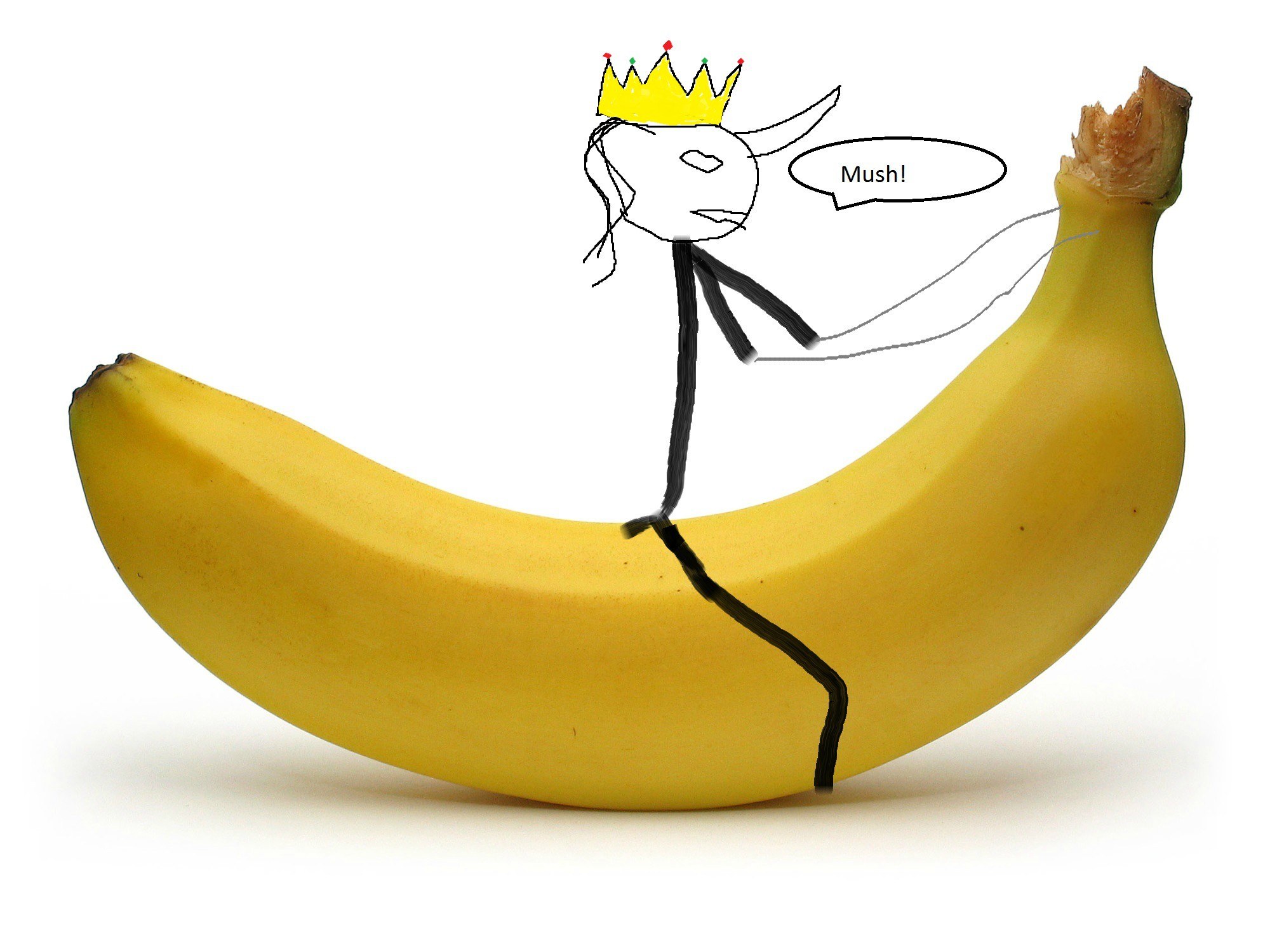 2000x1500 A Bit Weirdpeople Were Looking