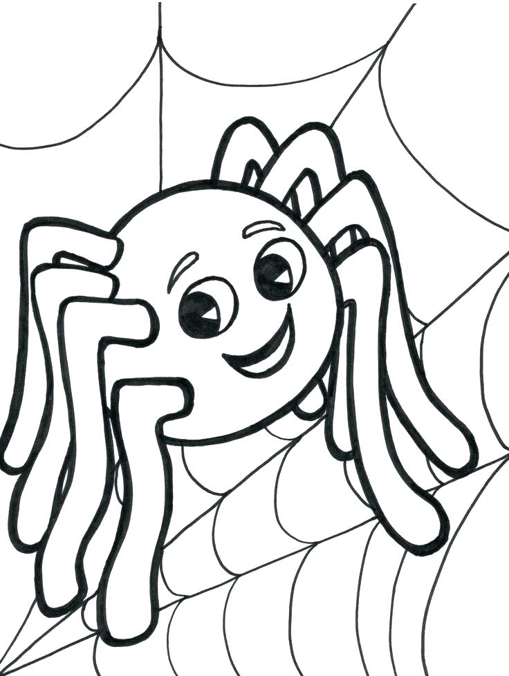 736x978 Cute Spider Drawing