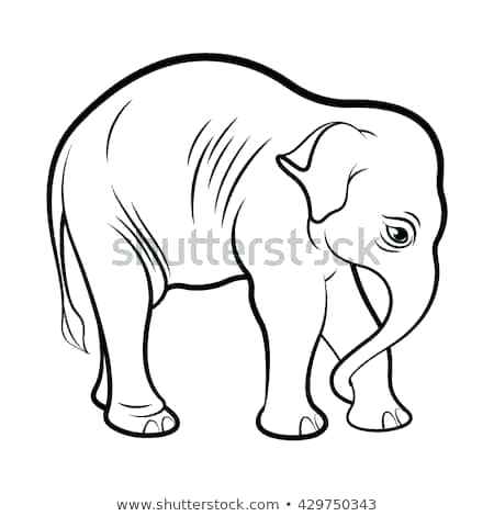 450x470 Elephant Outline Drawing Elephant Vector Outline Minimalist