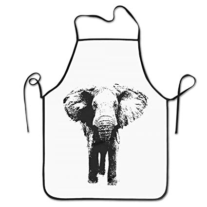 425x425 Starorlando Elephant Charg Elephant Illustration Gift