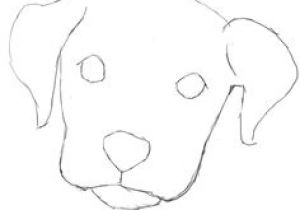 300x210 Dog Drawing Guide How To Draw A Puppy Drawing Drawings Puppy