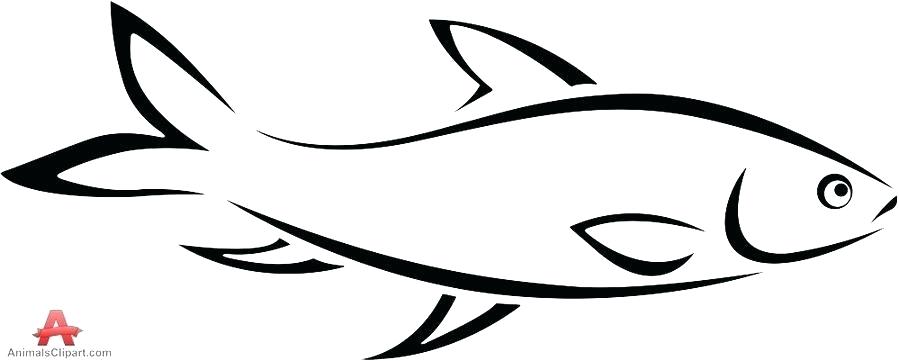 899x361 fish cartoon drawing uploaded months ago fish cartoon drawing