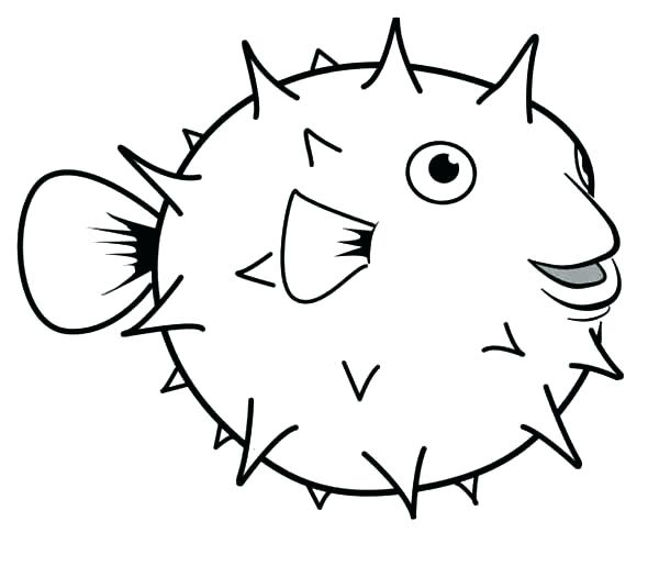 Funny Fish Drawings | Free download on ClipArtMag