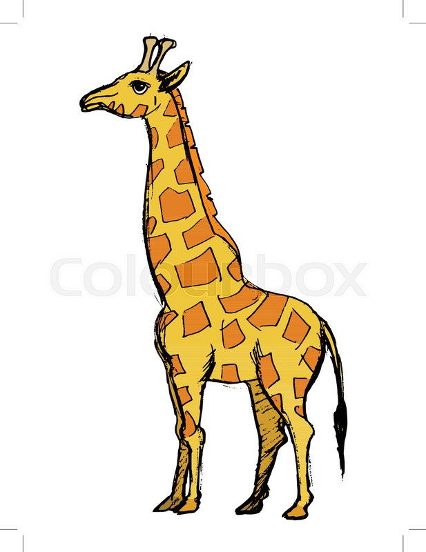 617x800 Vector, Coloured, Sketch, Hand Drawn Stock Vector Colourbox