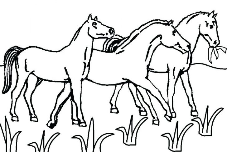 728x486 Funny Horse Coloring Pages