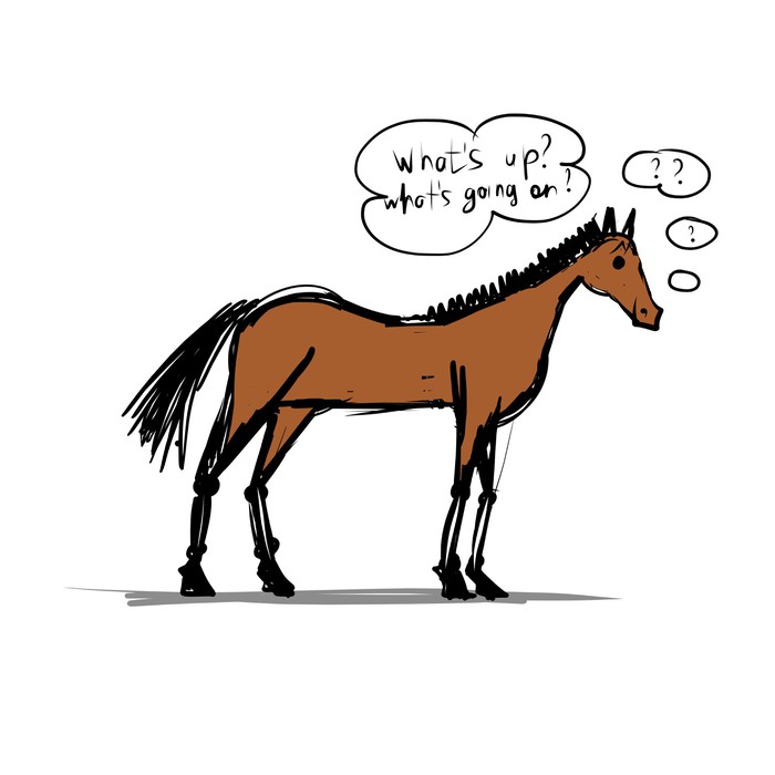 700x700 funny horse sketch for your design wardrobe sticker we
