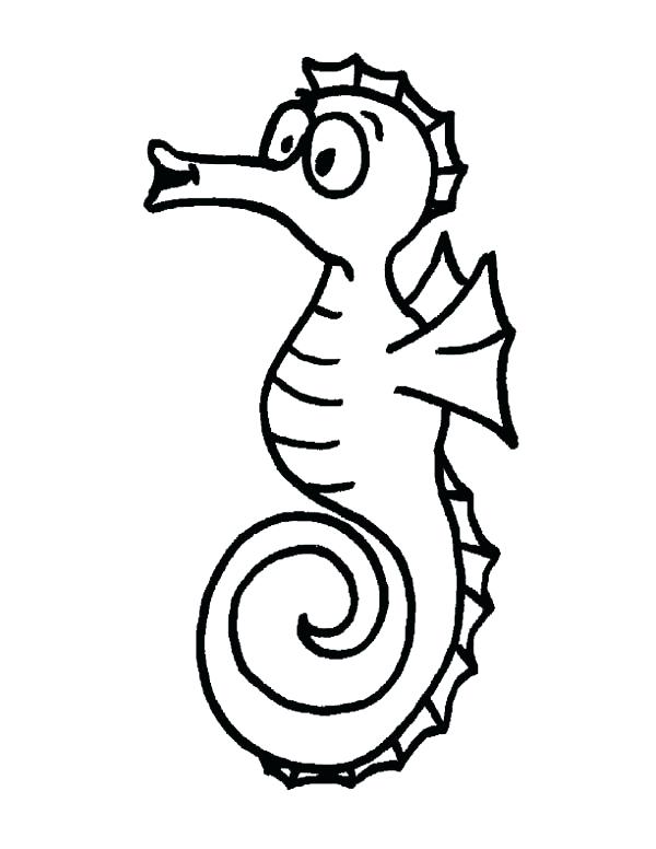 600x776 Funny Seahorse