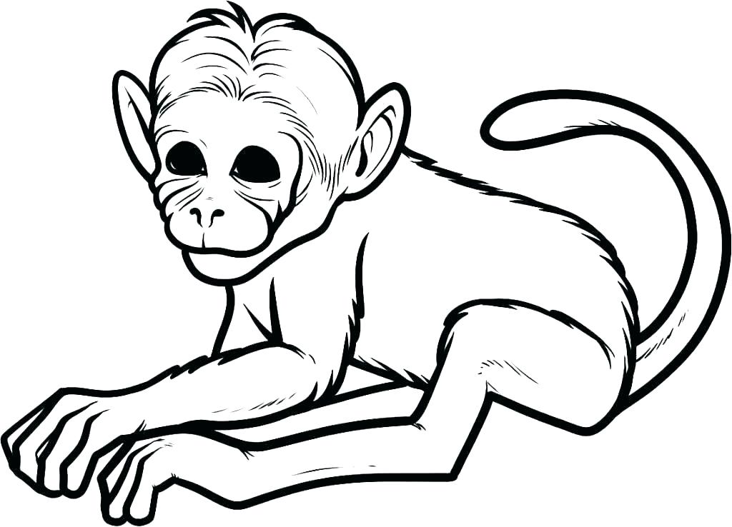1024x738 Funny Monkey Coloring Pages