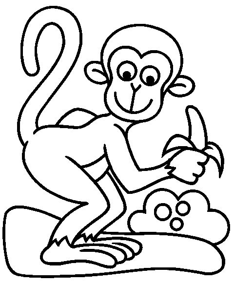 480x581 Funny Monkey Drawing