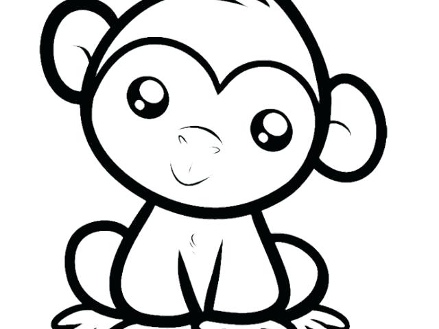 640x480 Drawing Monkeys