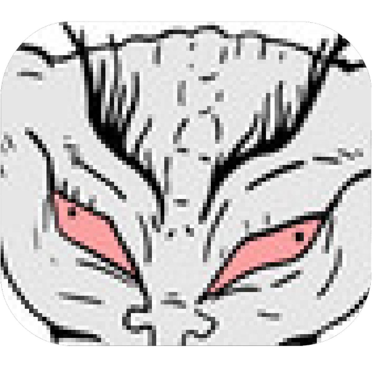 1200x1200 Designs Mein Mousepad Design Mousepad Selbst Designen