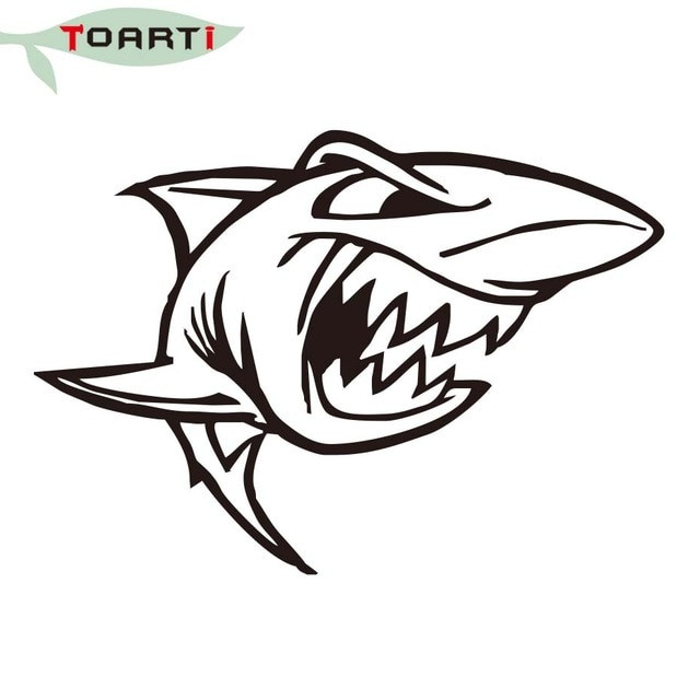640x640 Drawing Sharks On My Notebook Fresh Shark Skull Funny Car