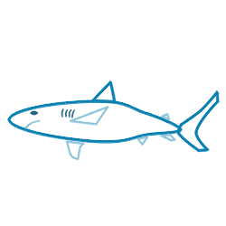 250x250 Drawing A Cartoon Shark