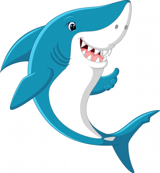 Funny Shark Drawing | Free download on ClipArtMag