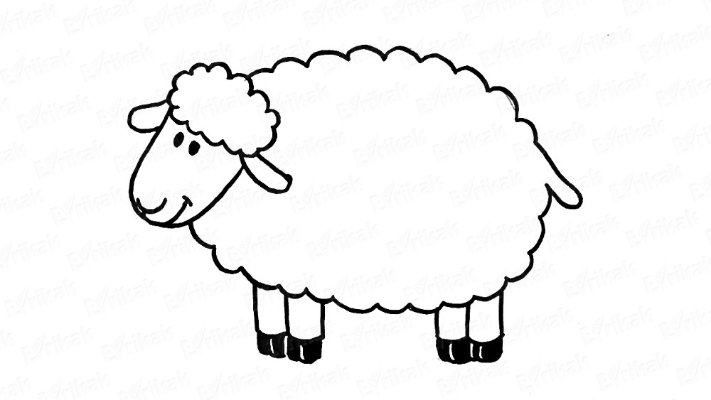 1000x563 how to draw a funny sheep in stages for children using a pencil