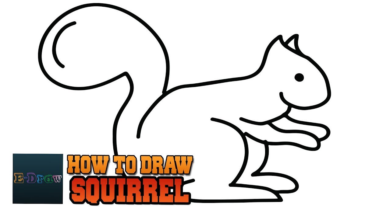 1280x720 How To Draw A Squirrel Step