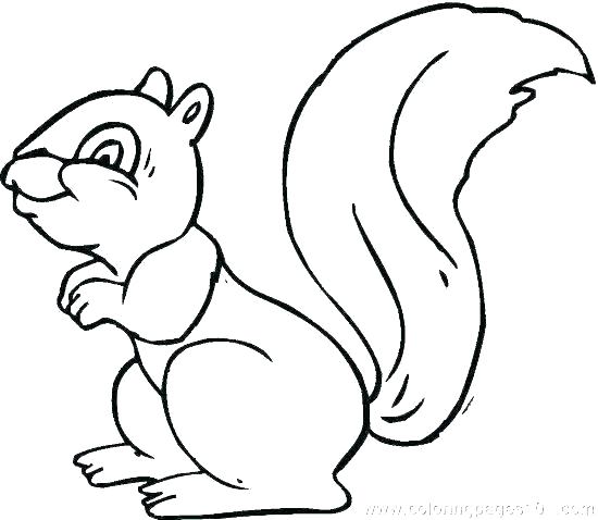 550x478 Squirrel Coloring