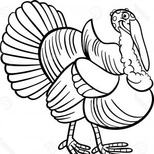 300x300 Photoblack And White Cartoon Illustration Of Funny Turkey Farm