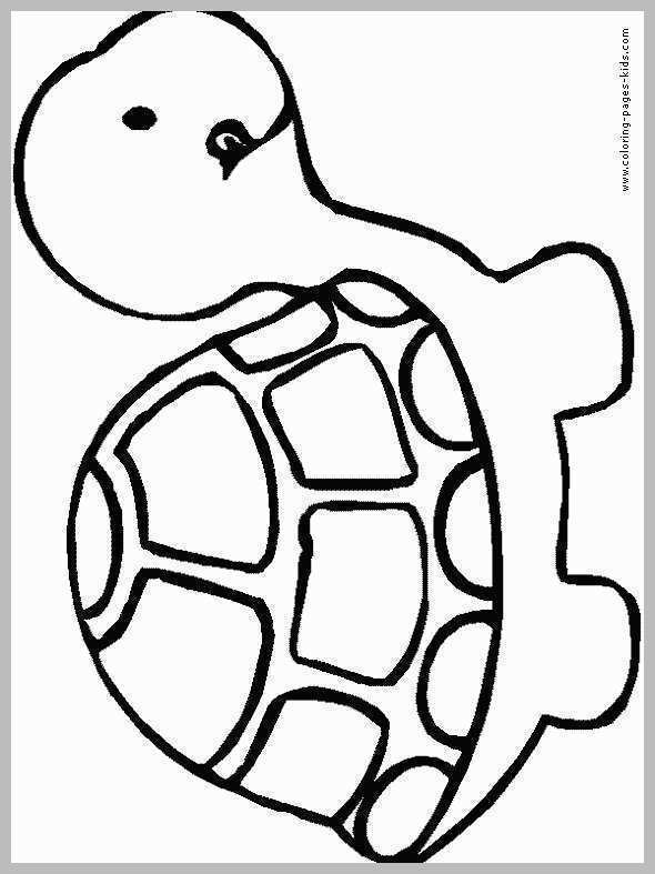 590x787 Turtle Coloring Book Admirably Turtle Cute Animal Pages Printable