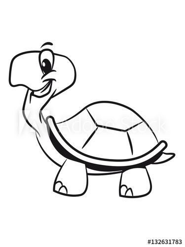 375x500 Turtle Cute Sweet Funny Witty