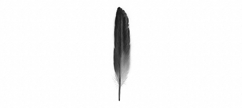 850x381 How To Draw Feathers