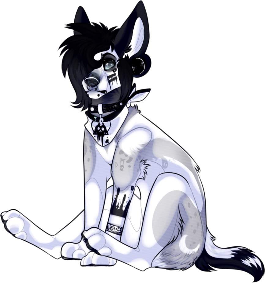 866x923 Just Finished This Drawing Furry Amino