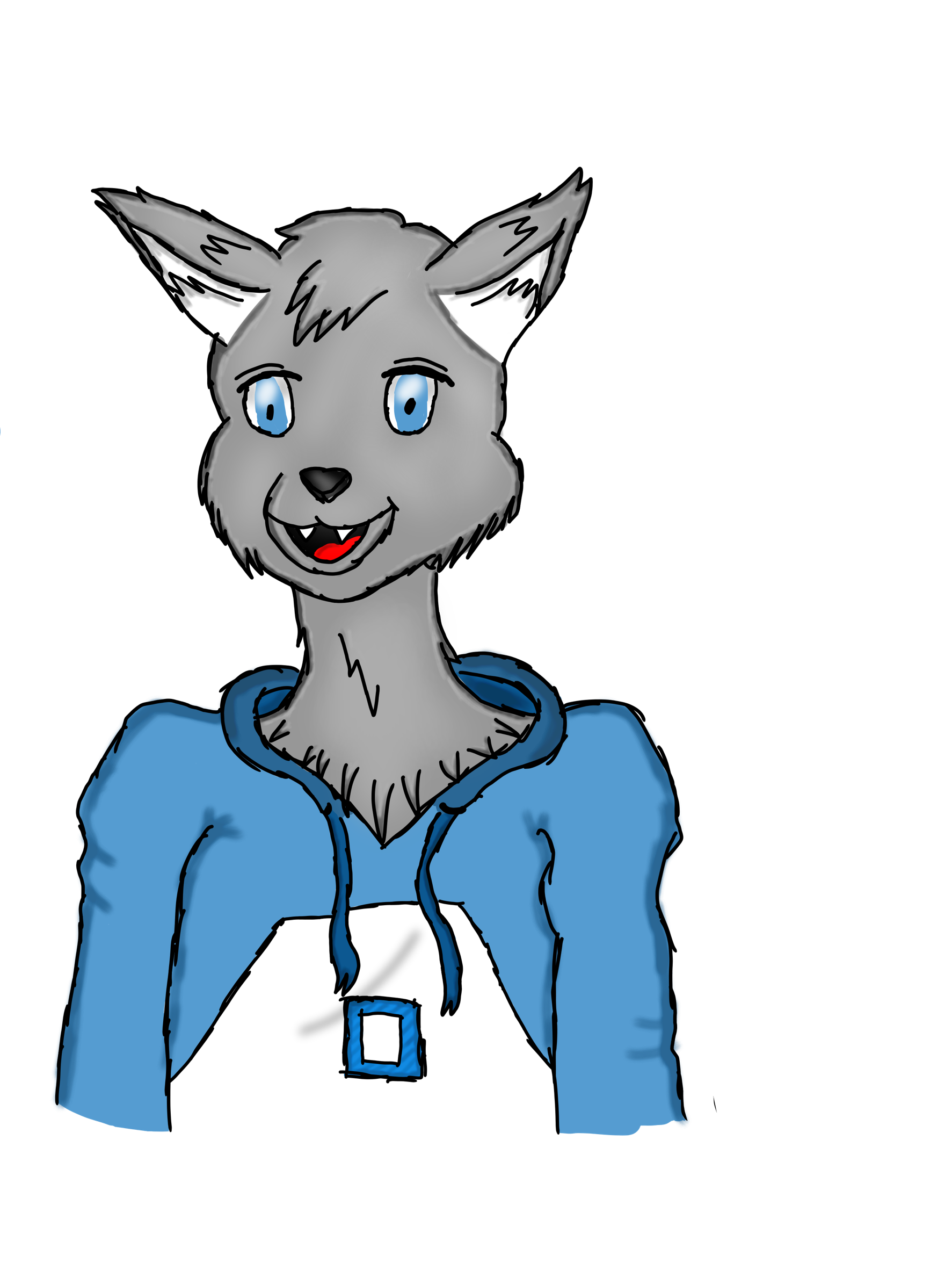 Furry Wolf Drawing