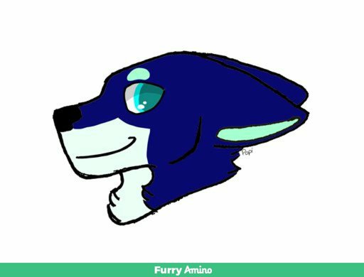 512x390 Crafty The Wolf Furry Amino