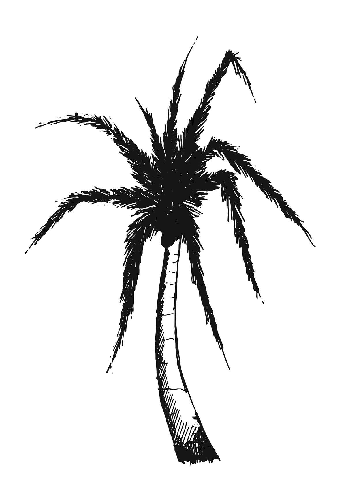 1200x1728 Satellite Beach Graphics