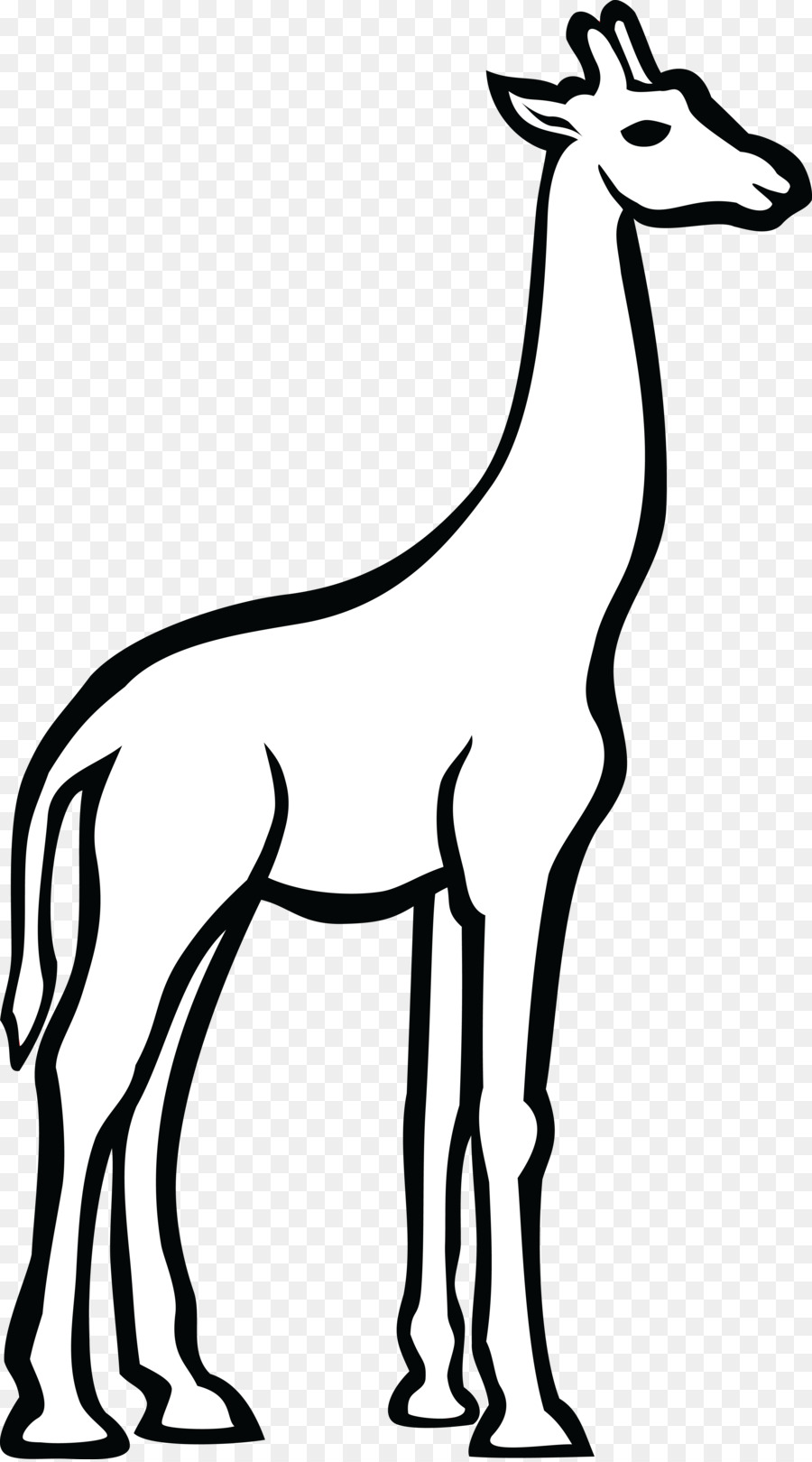 900x1620 Giraffe, Drawing, Graphics, Transparent Png Image Clipart Free