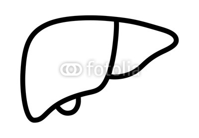 400x277 human liver organ with gallbladder line art vector icon