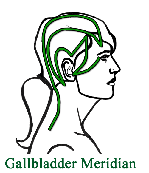 500x580 one sided headaches are a sign that the gallbladder meridian is