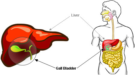 448x250 symptoms of gallbladder problems