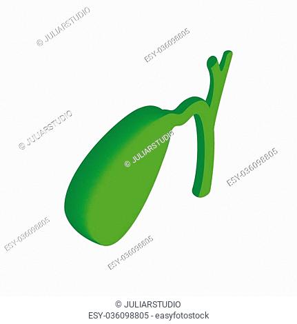 Gallbladder Drawing | Free download on ClipArtMag