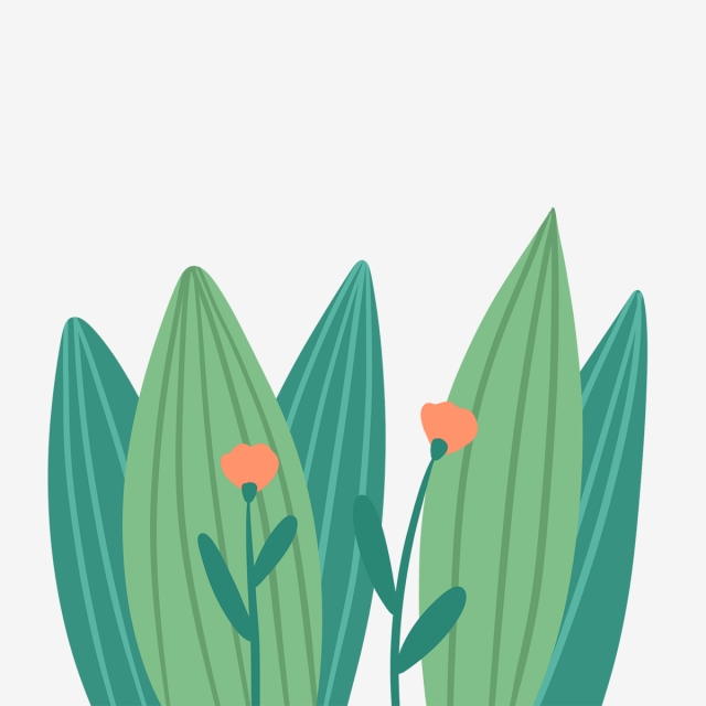 640x640 Hand Drawn Cute Garden Flowers, Drawing, Nature, Flower Png