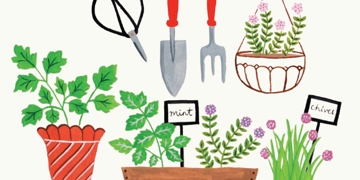 1200x600 How To Draw A Herb Garden