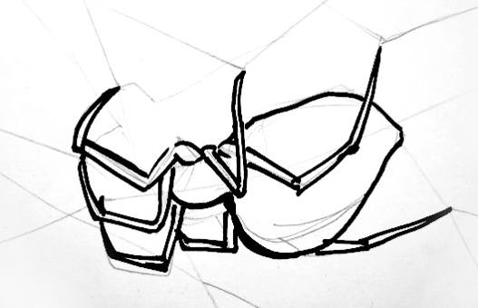 527x339 How To Draw A Garden Spider