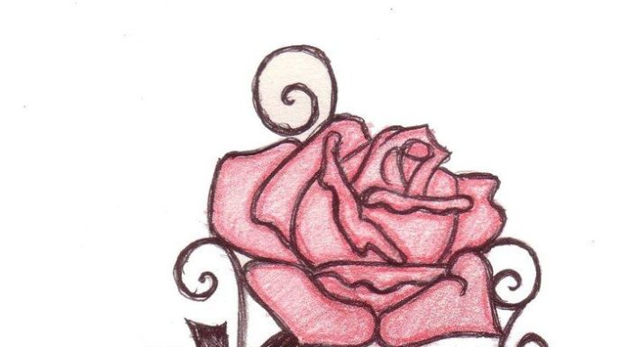 696x385 Easy Flowers To Draw Archives